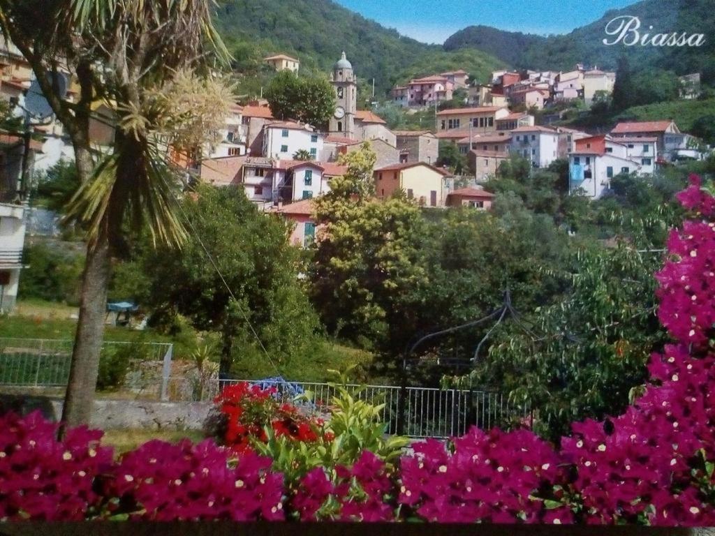 Apartment Casa Caterina *